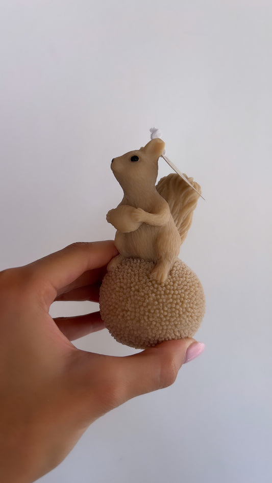Squirrel