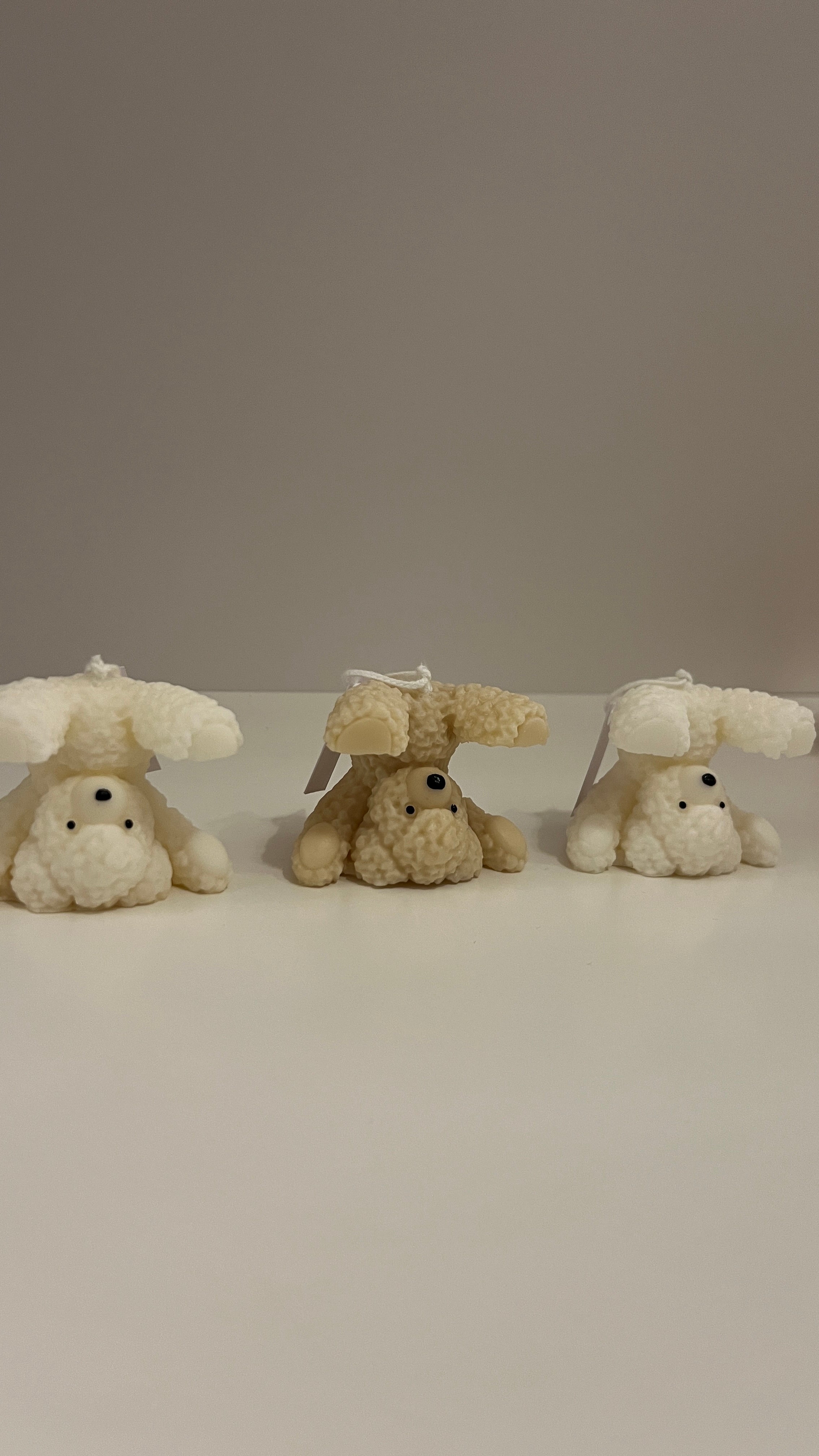 دب تيدي مقلوب